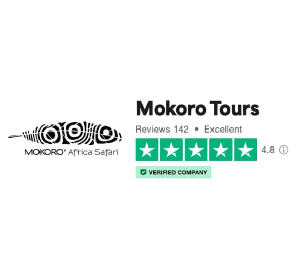 Viaggi in Namibia recensioni | Mokoro Tours