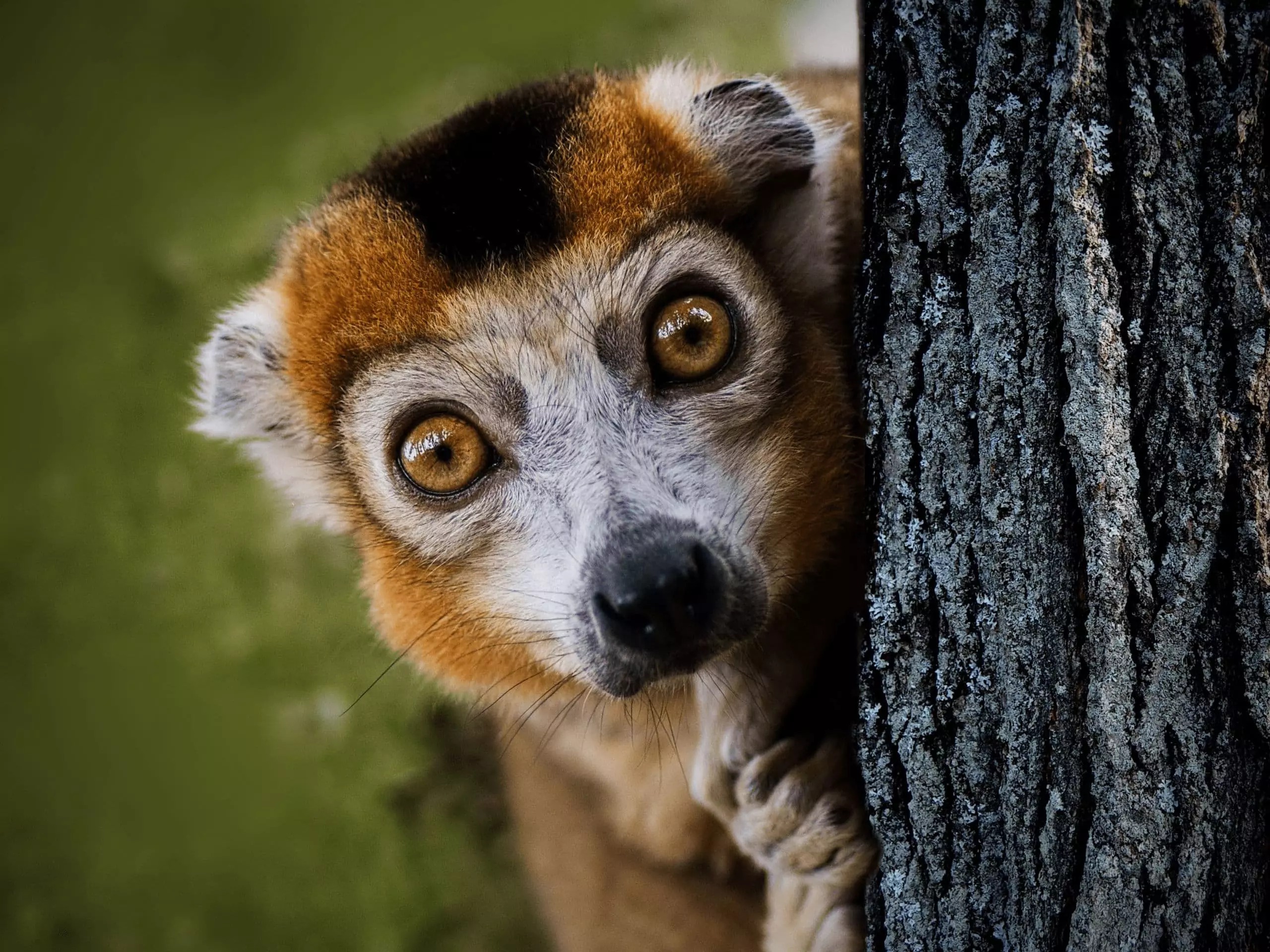 Viaggi in Madagascar | Mokoro Tours